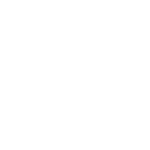 servicesicon retail 150x150